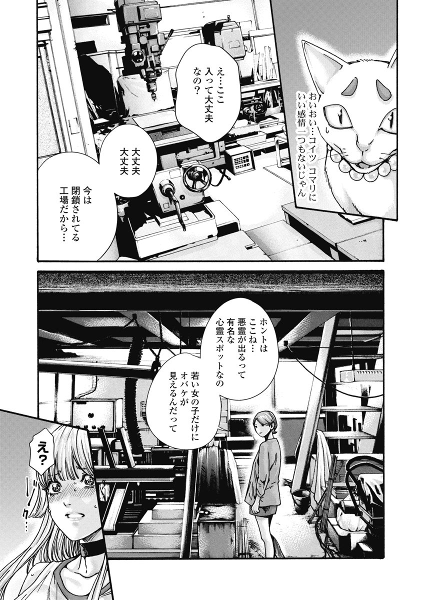 TERA UMARE NEKO NO TAMA-SAN Chap 21 - Pic 3