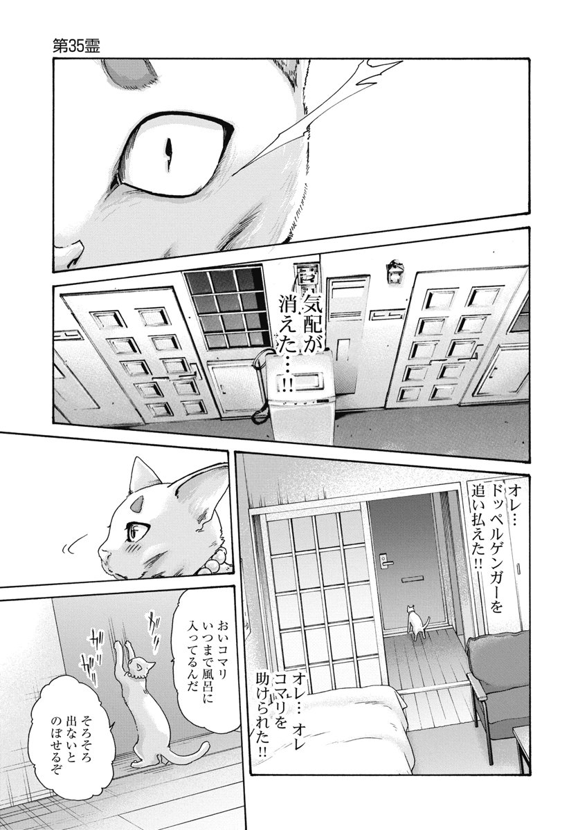 TERA UMARE NEKO NO TAMA-SAN Chap 35 - Pic 9