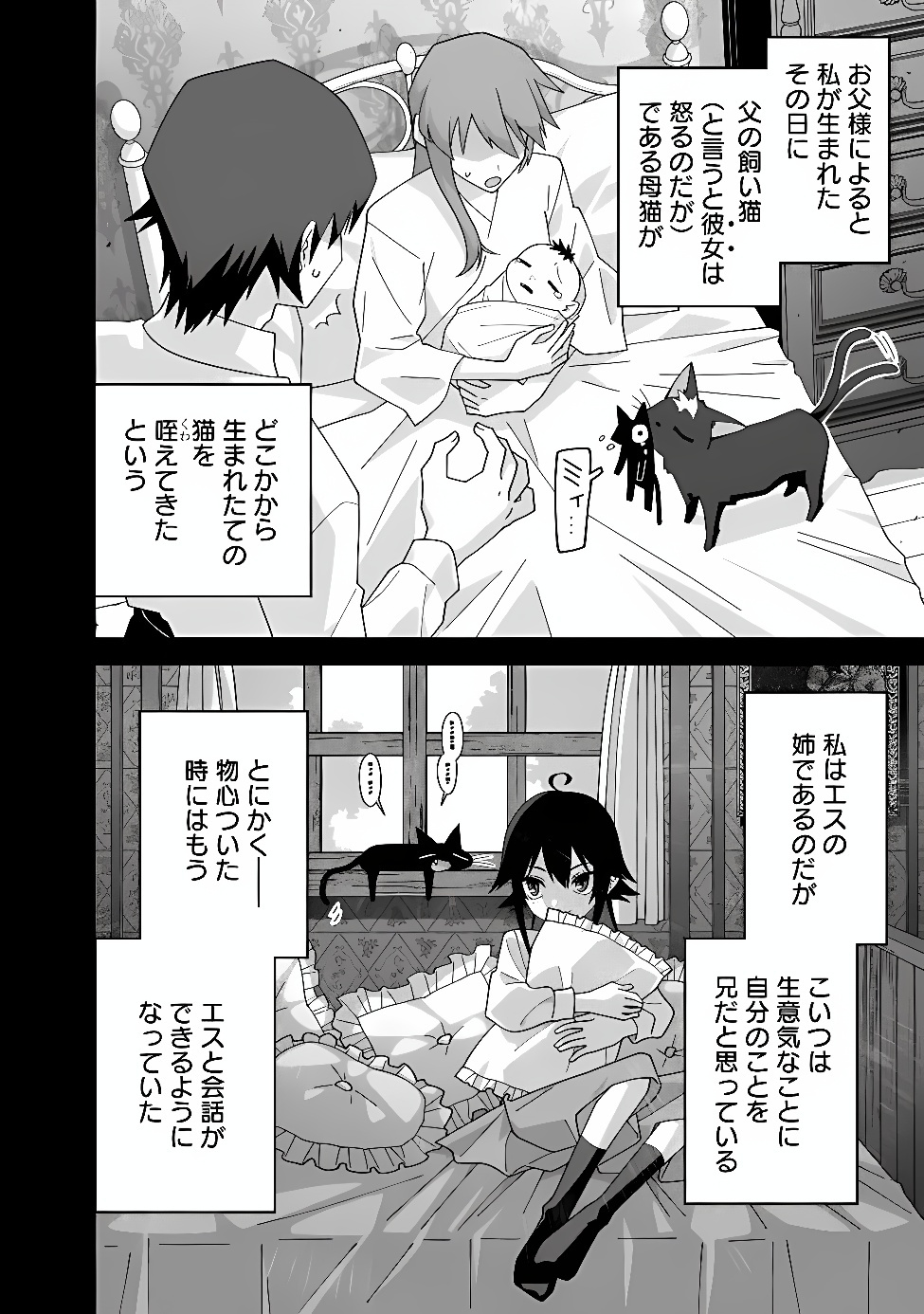 KURO NEKO NO AKUYAKU REIJOU: SAITEI MAGICAL DESUGA, SAIKYOU NO KENJUTSU DE SHOKOKU MANYUU SHICHAIMASU Chap 1 - Pic 38