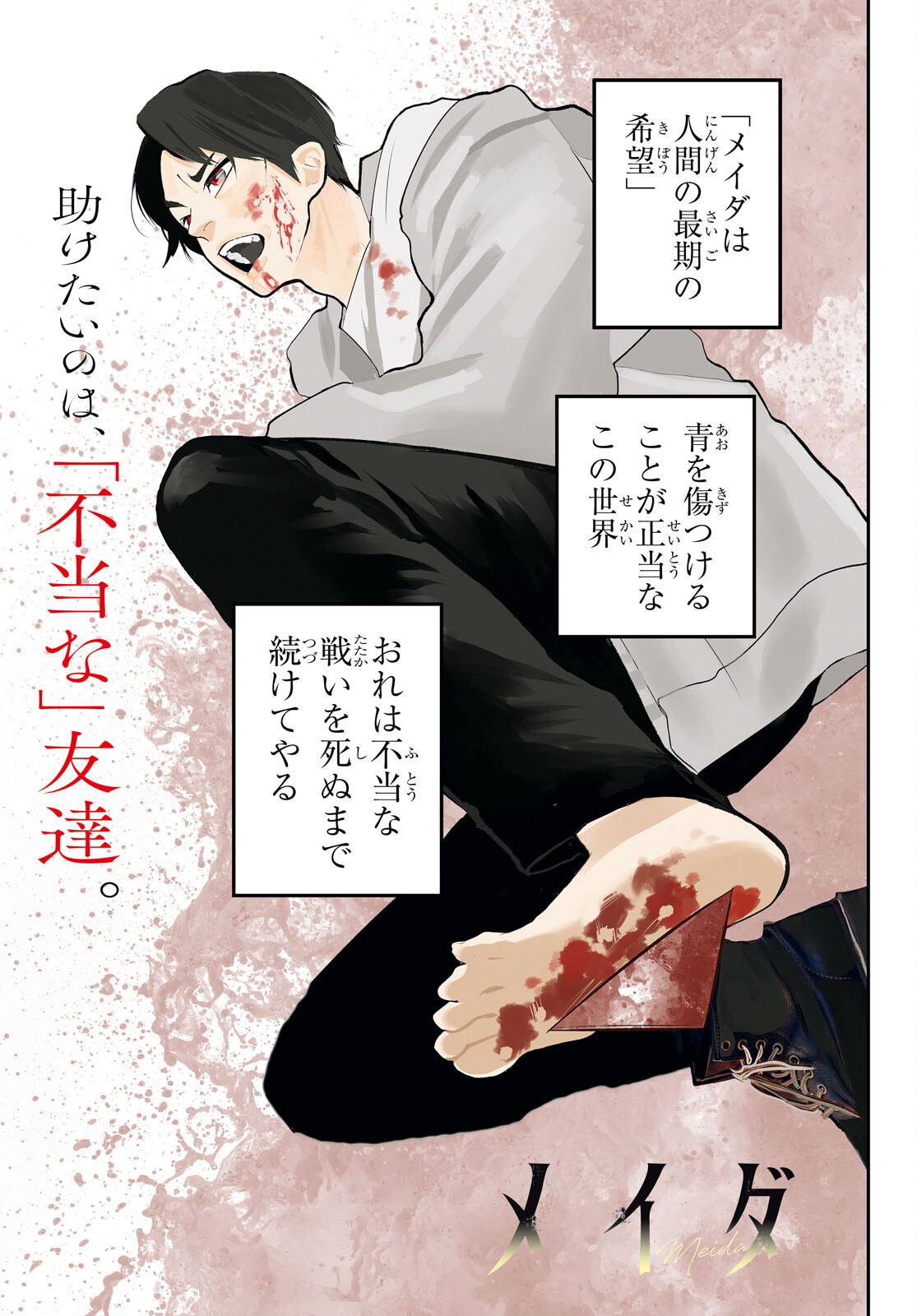 MEIDA Chap 6 - Pic 2