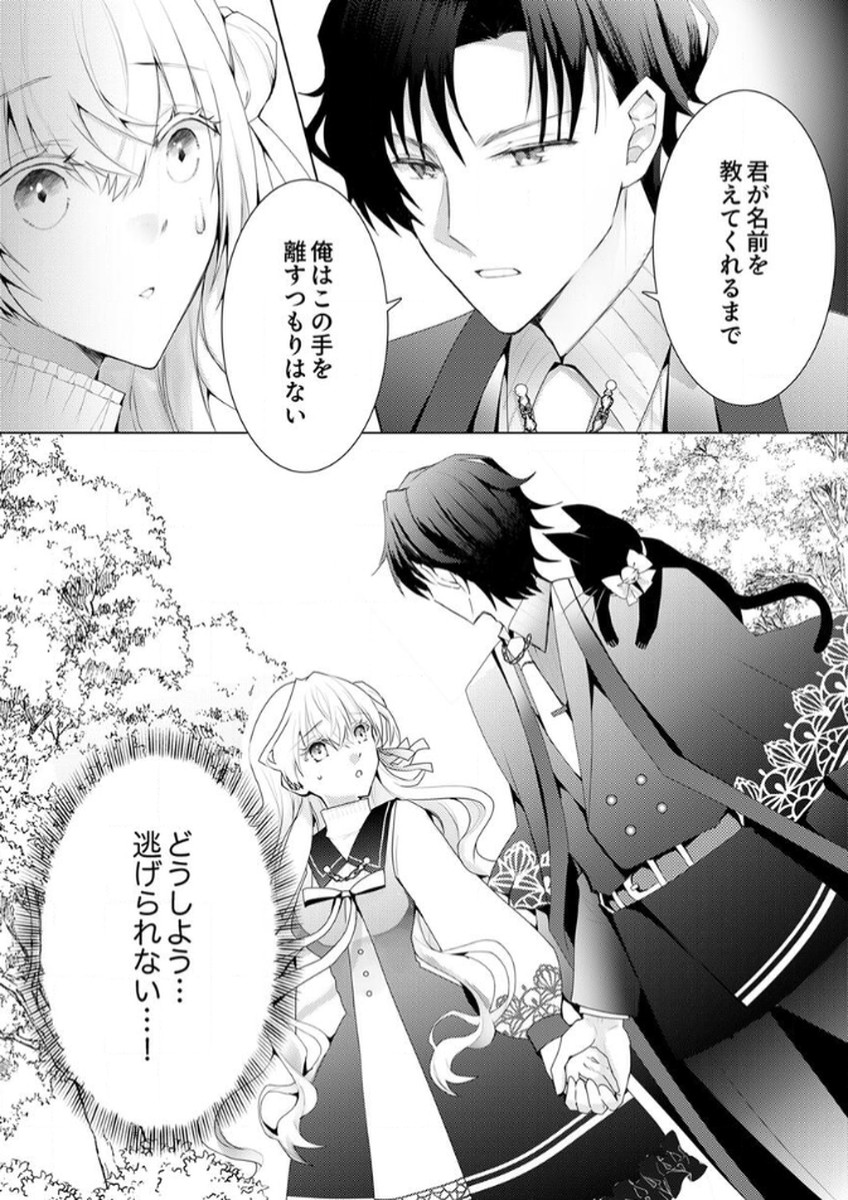WATASHI NO KOTO WA AKIRAMETE KUDASAI!: SAKUSHI NA KOUTAISHI TO SUGAO WO KAKUSU MOB REIJOU NO DEKIAI KOUBOU Chap 1 - Pic 30