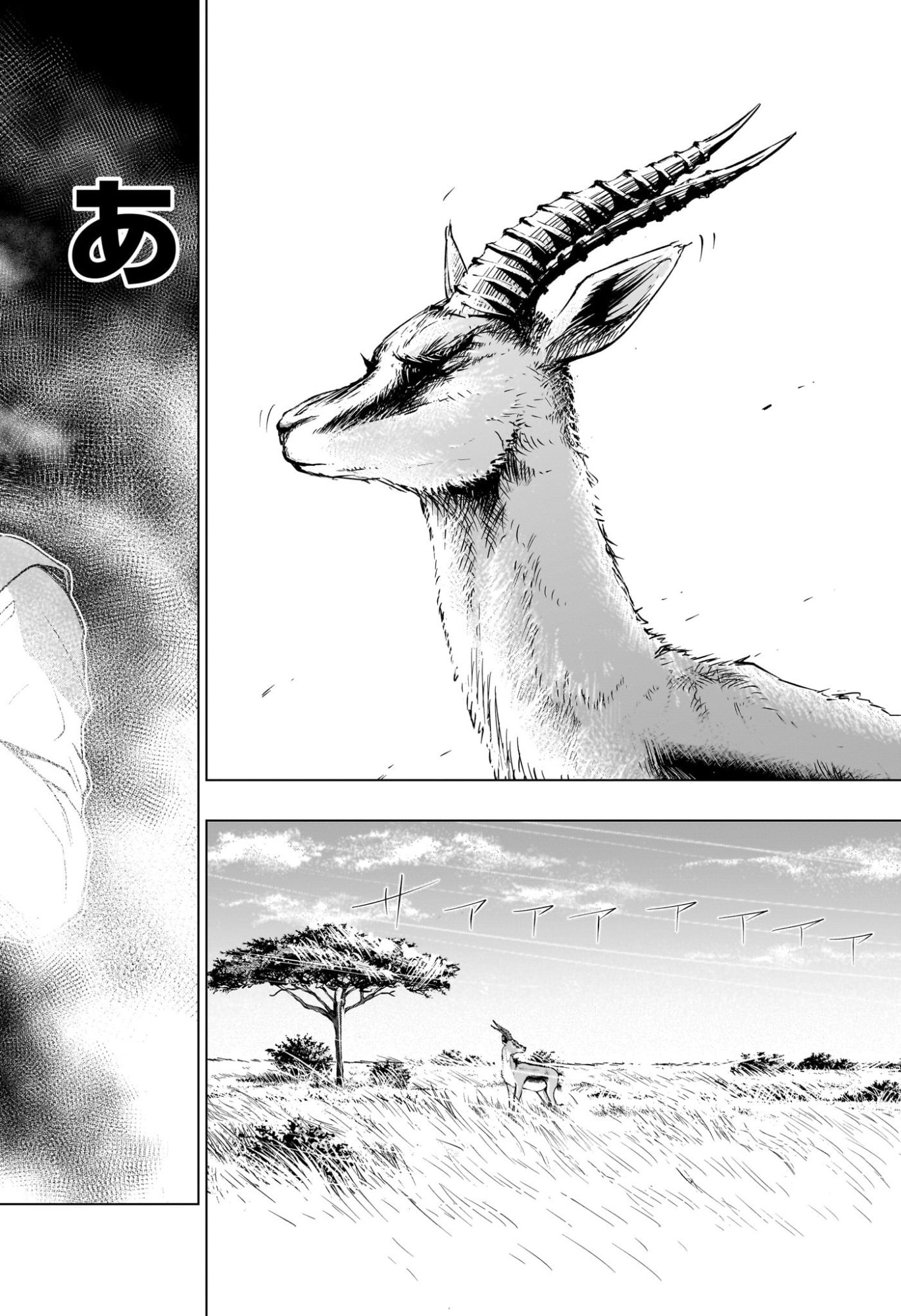 HAL FORMULA Chap 18 - Pic 14